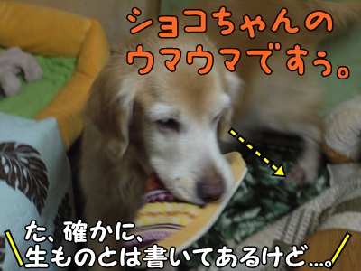 1.元旦201202.jpg