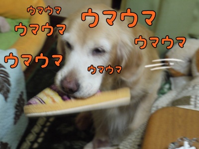 1.元旦201203.jpg