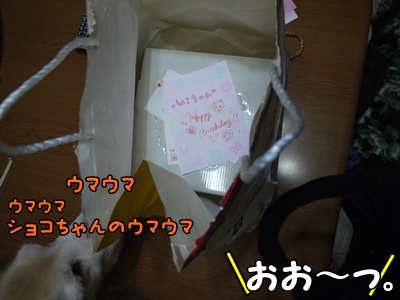 1.元旦201204.jpg