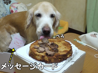 1.元旦201207.jpg