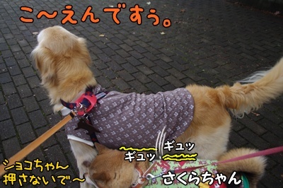 1.冬コレ01.jpg