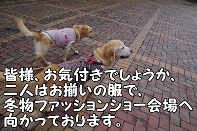 1.冬コレ04.jpg