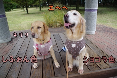 1.冬コレ05.jpg