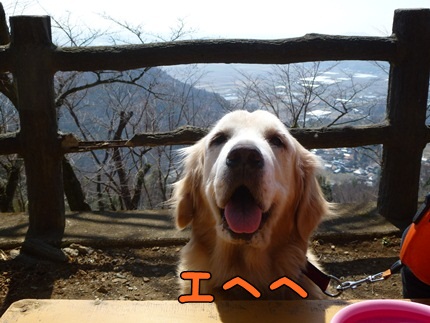 1,大平山02.JPG