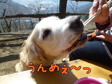 1,大平山04.JPG