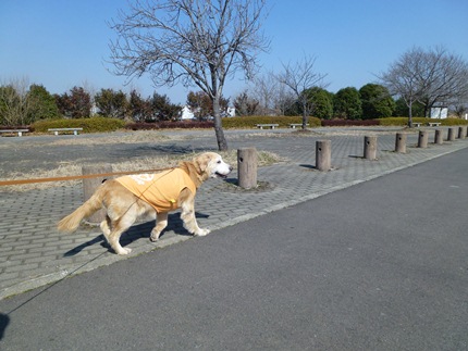 1,大平山05.JPG