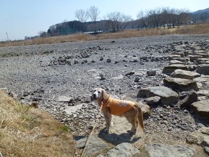 1,大平山06.JPG