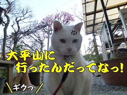 1,大平山11.JPG