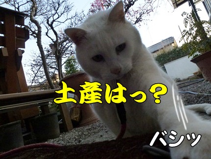 1,大平山12.JPG