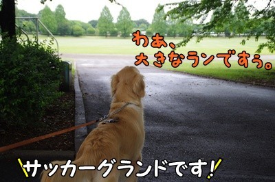 1名入れトート03.jpg