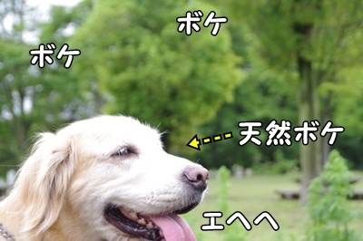 1名入れトート08.jpg