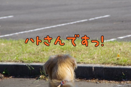 1.新米04.jpg