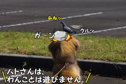1.新米06.jpg