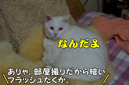 1.新米07.jpg