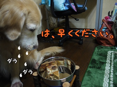 1.元旦201210.jpg