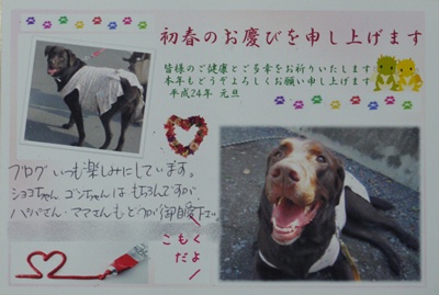 1.元旦201212.jpg