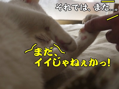 1.元旦201214.jpg