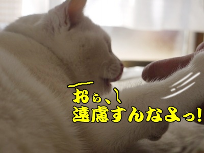 1.元旦201215.jpg