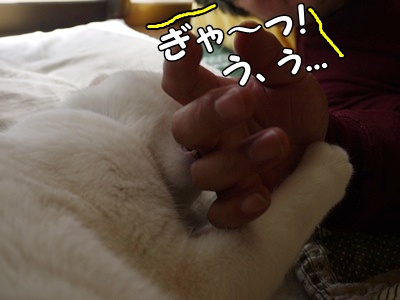 1.元旦201216.jpg