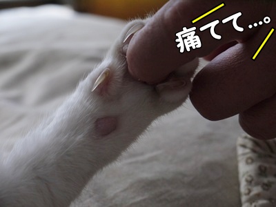 1.元旦201218.jpg