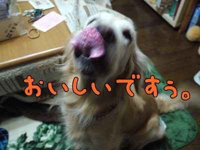 1.元旦201219.jpg