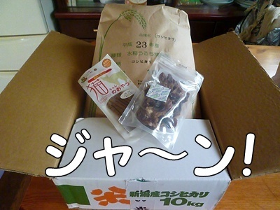 1.冬コレ23.jpg