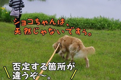 1名入れトート07.jpg