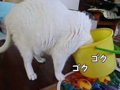 1名入れトート10.jpg