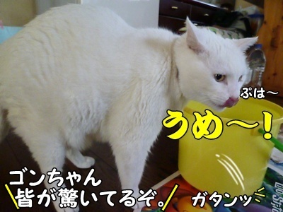 1名入れトート11.jpg