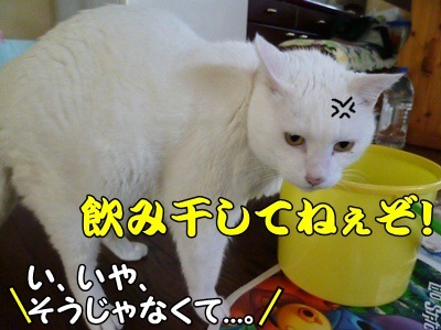 1名入れトート12.jpg