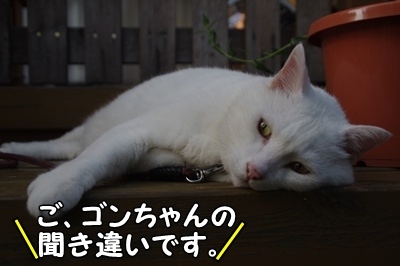1.スヌーピー06.jpg