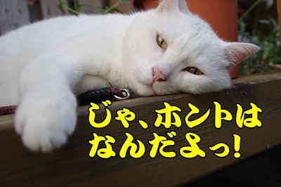1.スヌーピー07.jpg