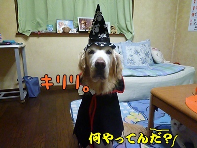1.ハロウィンでした01.jpg