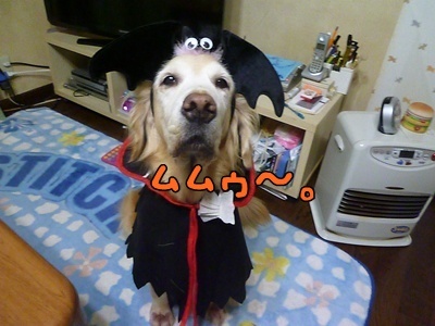 1.ハロウィンでした02.jpg