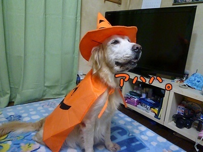 1.ハロウィンでした03.jpg