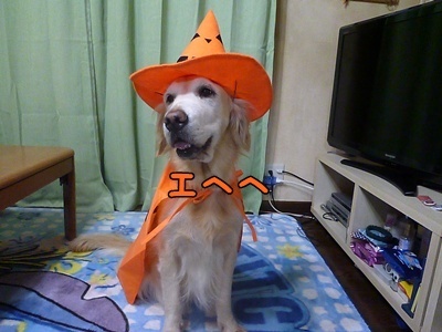 1.ハロウィンでした04.jpg