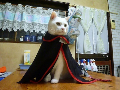 1.ハロウィンでした05.jpg