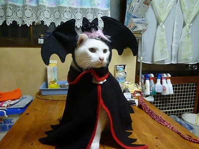 1.ハロウィンでした06.jpg