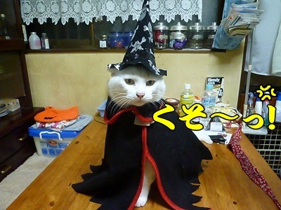 1.ハロウィンでした07.jpg