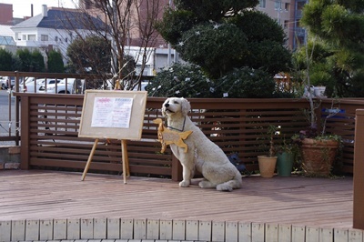 1.足利紀行01.jpg