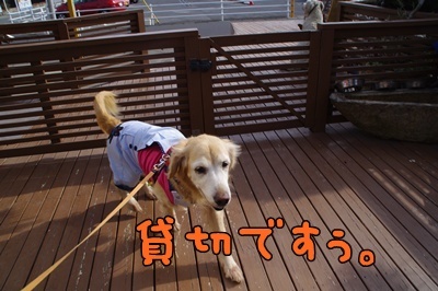 1.足利紀行07.jpg