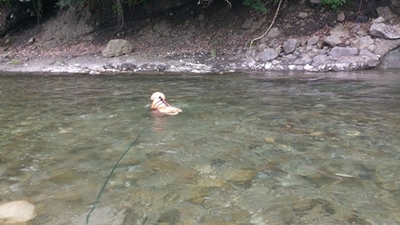 1,H24夏02.jpg