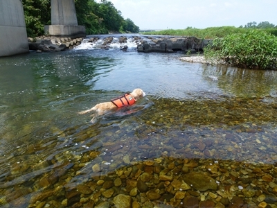 1,H24夏04.JPG