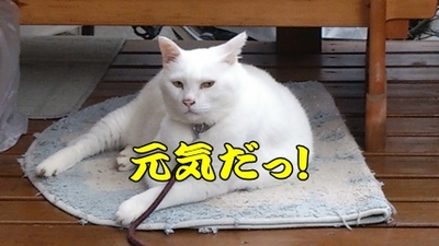 1,H24夏11.jpg