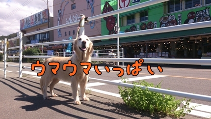 1,H24年12.jpg