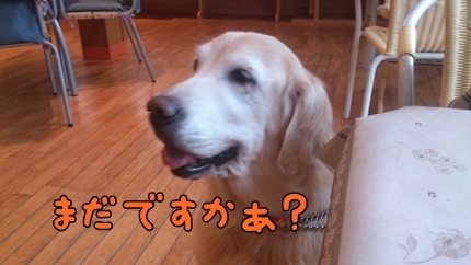 1,H24年15.jpg