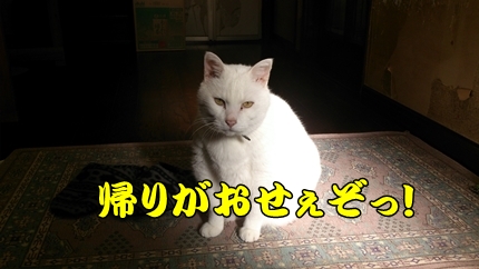 1,H24年18.jpg