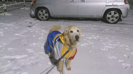 1,H26大雪02.jpg