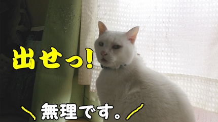1,H26大雪15.jpg