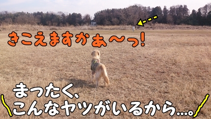 1,H26年26土手08.jpg